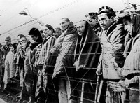ГУЛАГ. Володин заявил о нехватке миллиона заключенных для замены трудовых мигрантов. Значит будут сажать массово